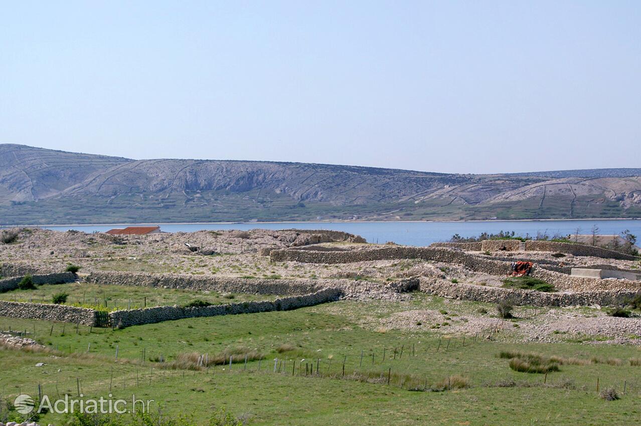 Kustići sur l’île Pag (Kvarner)