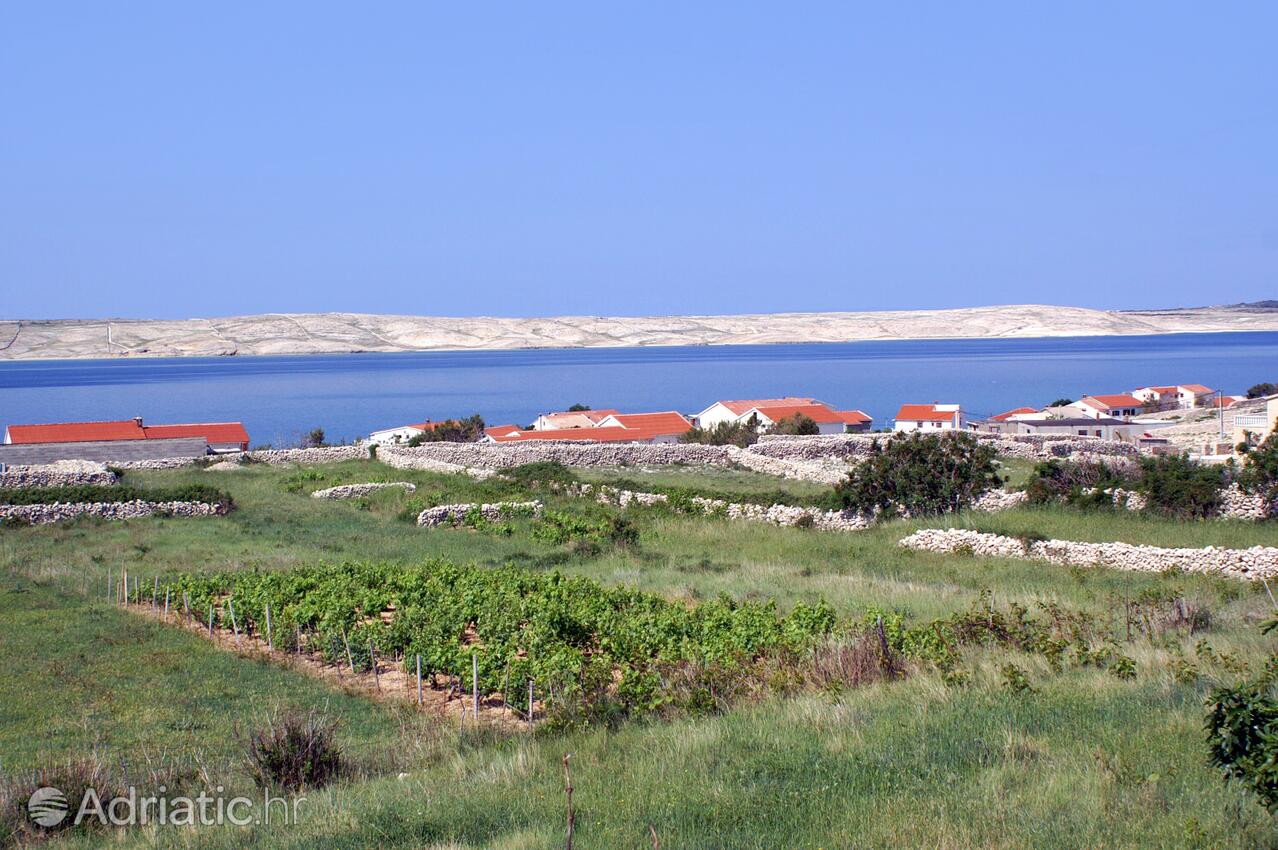 Kustići sur l’île Pag (Kvarner)
