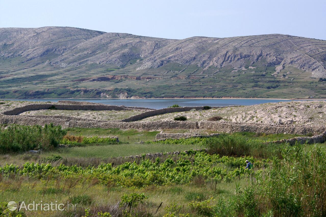 Kustići sur l’île Pag (Kvarner)