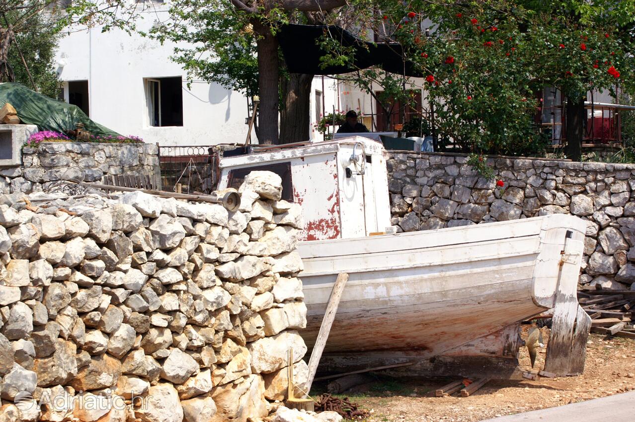 Lun sur l’île Pag (Kvarner)