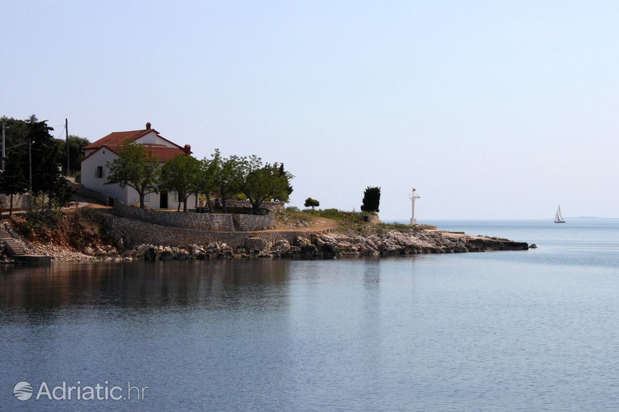 Lun sur l’île Pag (Kvarner)