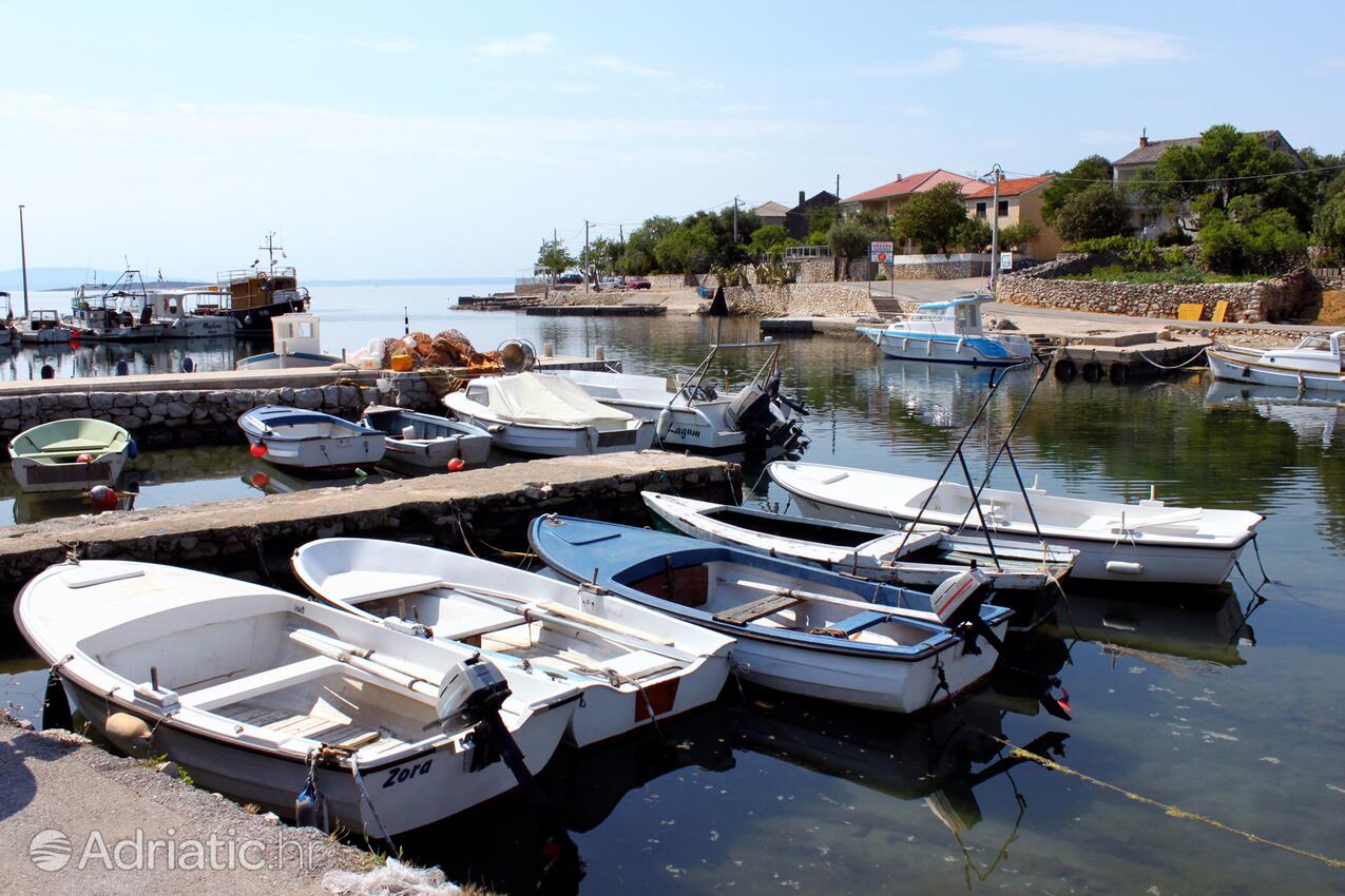 Lun sur l’île Pag (Kvarner)