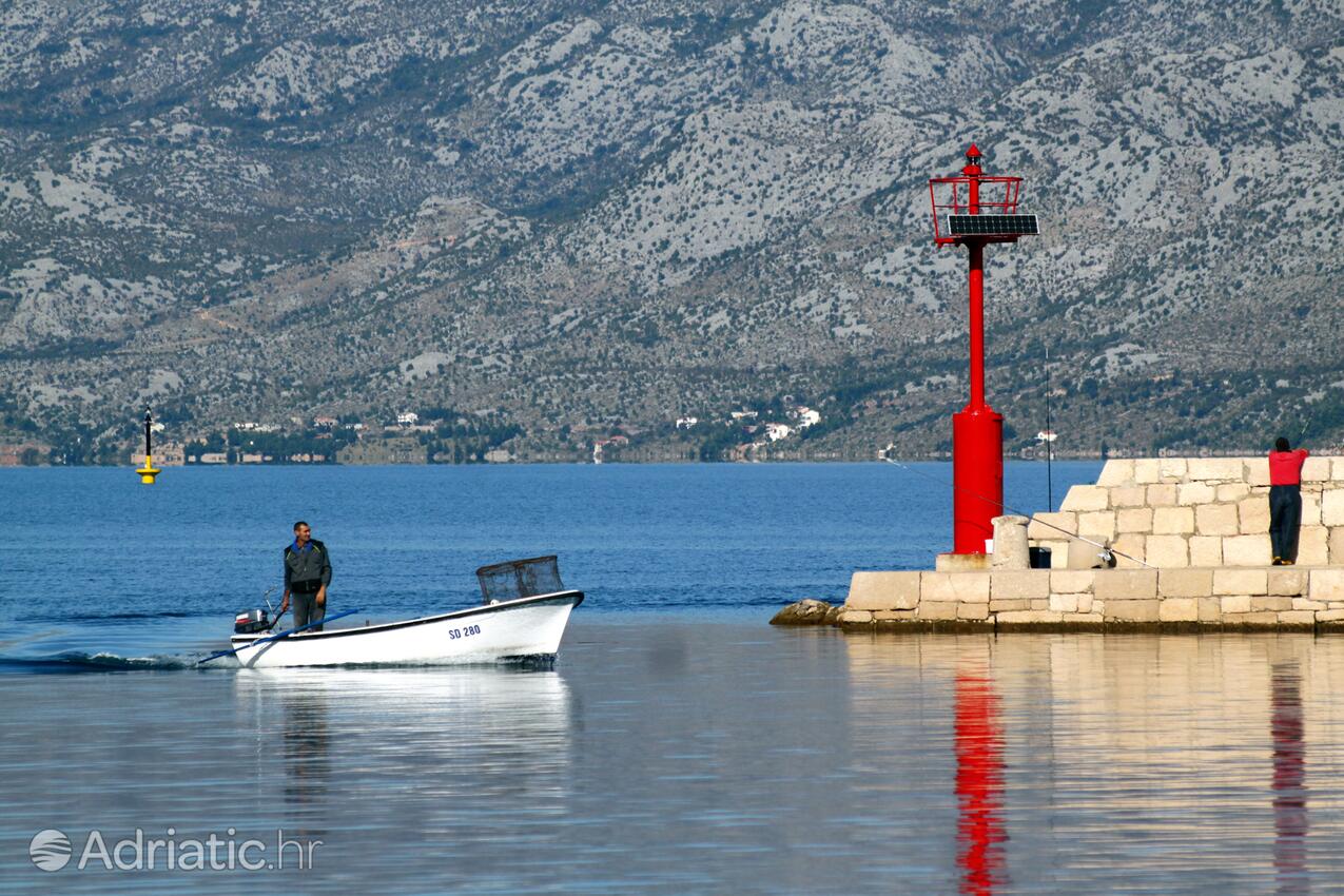 Vinjerac u rivijeri Zadar (Sjeverna Dalmacija)