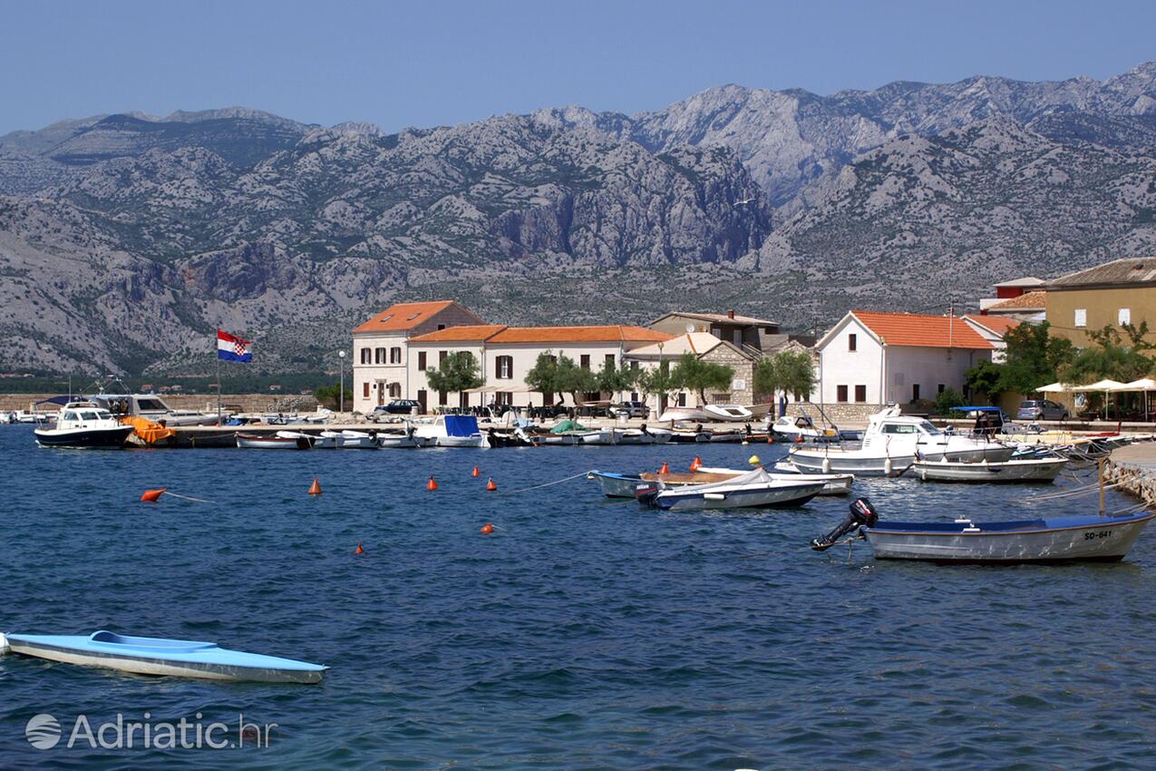 Vinjerac u rivijeri Zadar (Sjeverna Dalmacija)