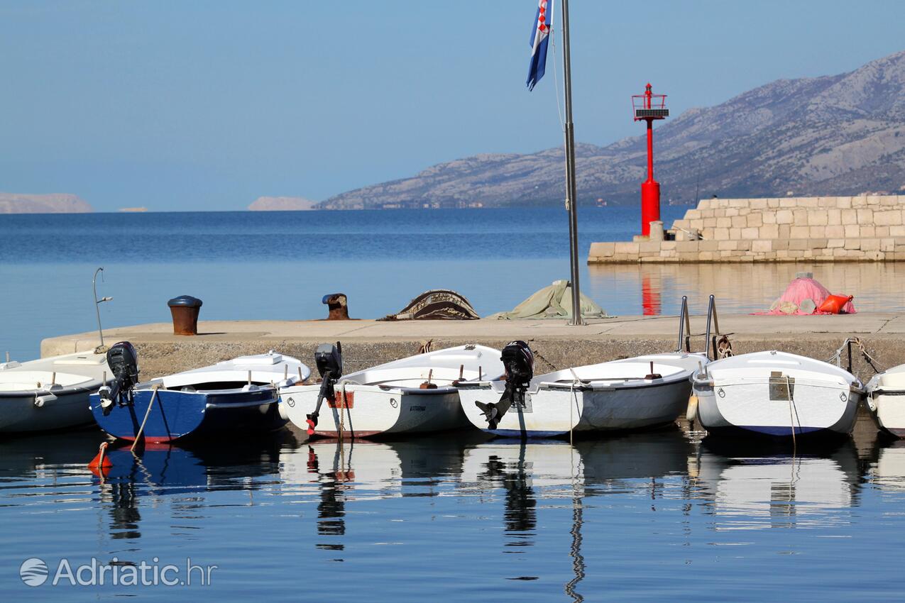 Vinjerac u rivijeri Zadar (Sjeverna Dalmacija)