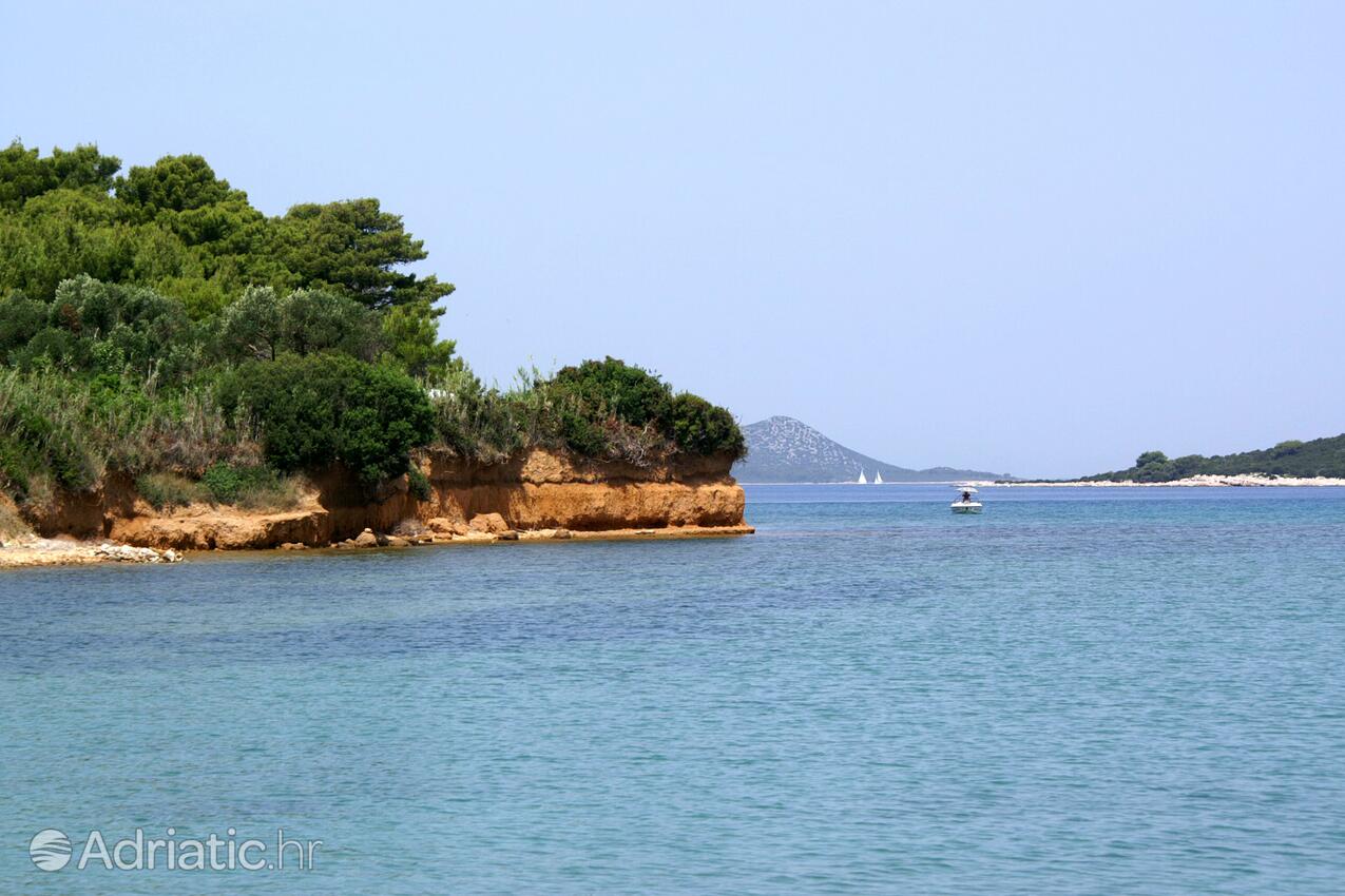 Vrgada на Рив'єрі Biograd (Sjeverna Dalmacija)