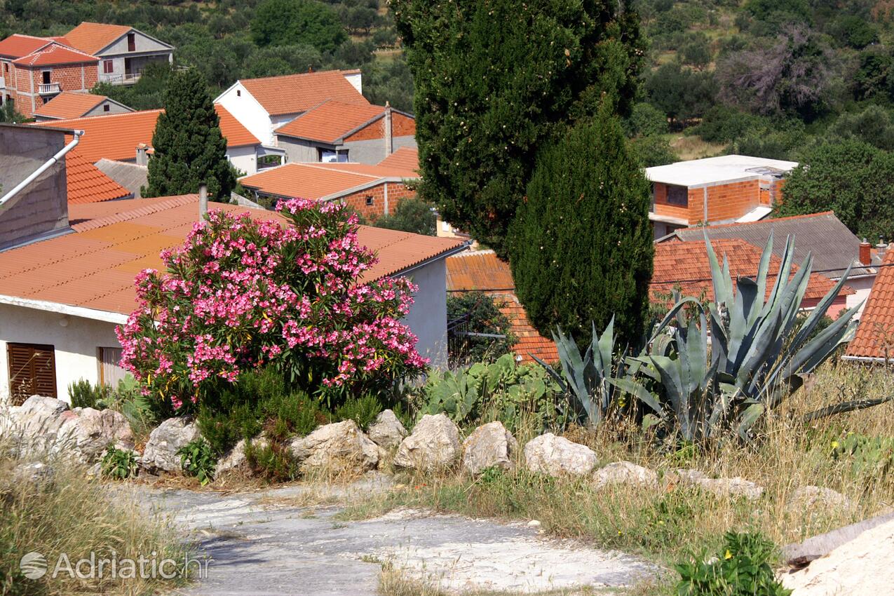 Vrgada na riwierze Biograd (Sjeverna Dalmacija)