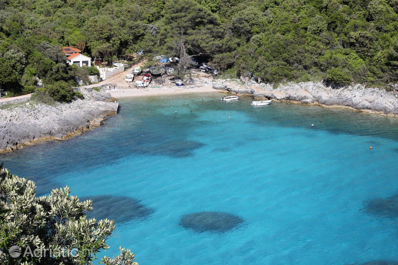 Rasohatica auf der Insel  Korčula (Južna Dalmacija)