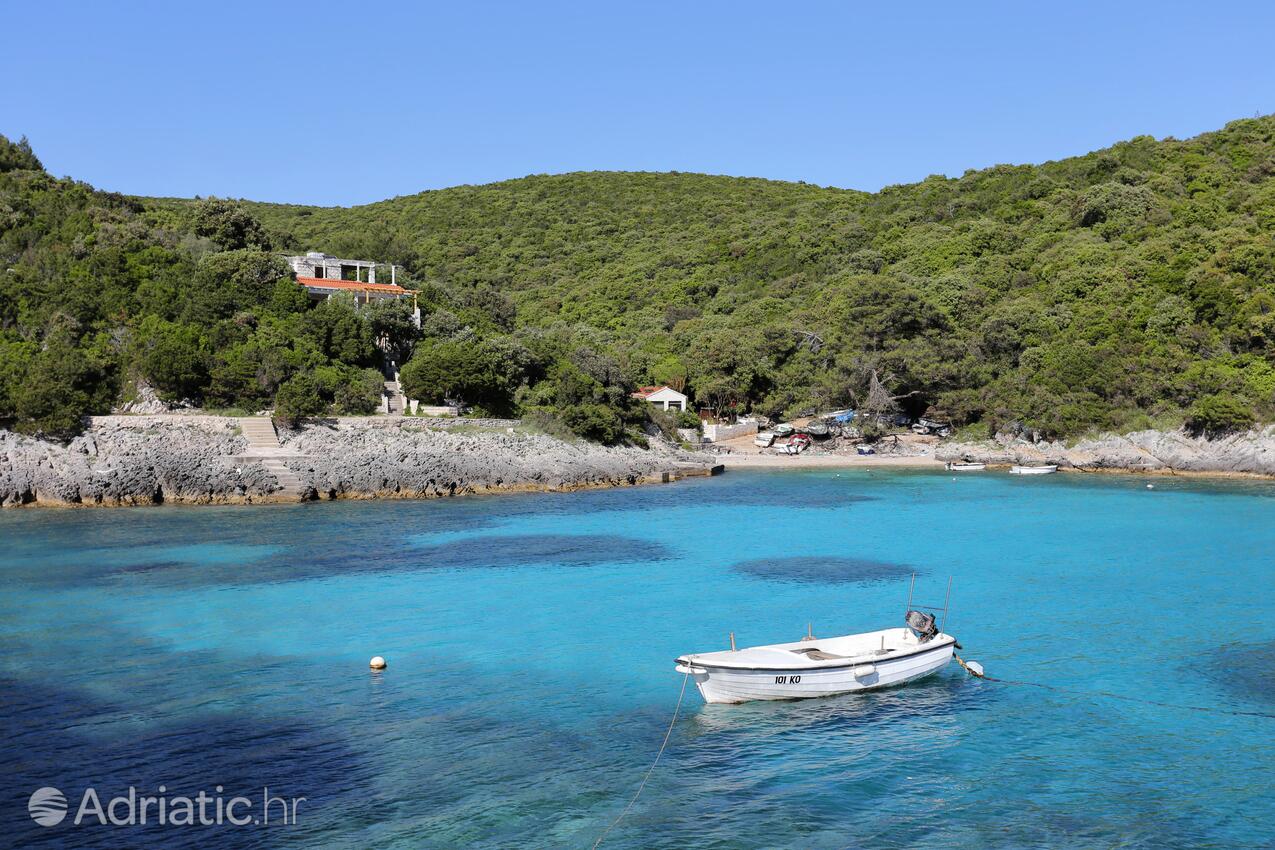 Rasohatica auf der Insel  Korčula (Južna Dalmacija)