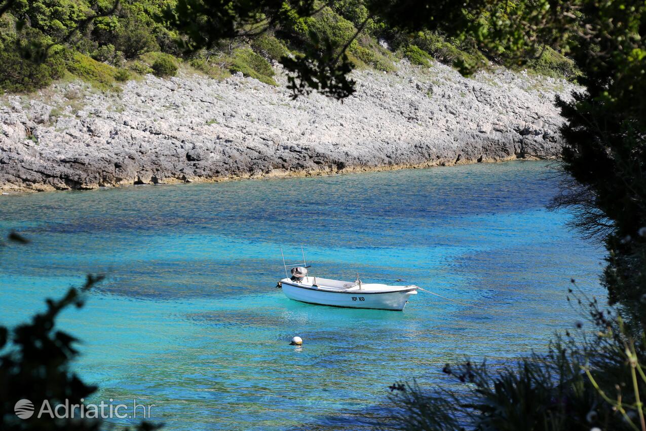 Rasohatica på otoku Korčula (Južna Dalmacija)