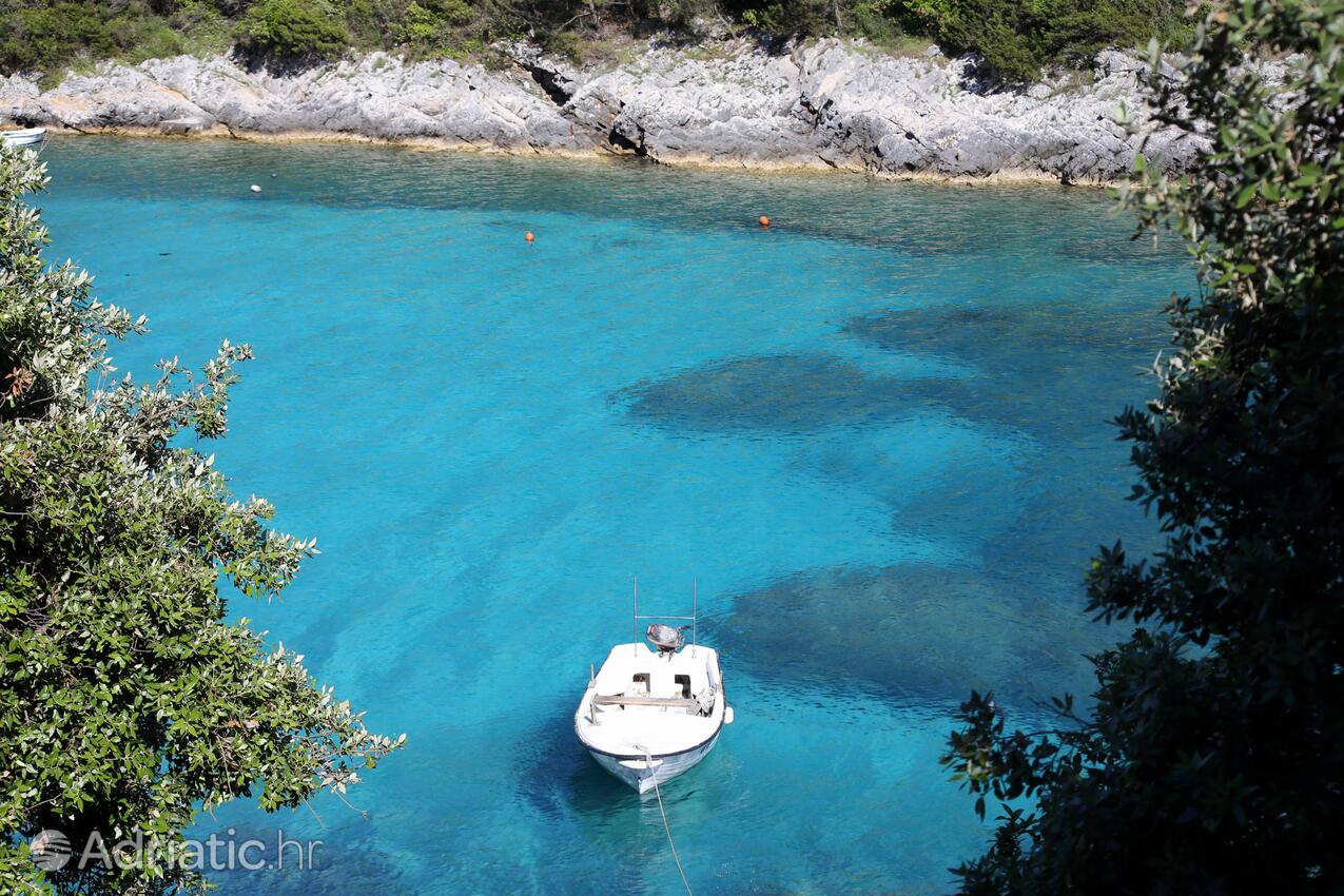 Rasohatica auf der Insel  Korčula (Južna Dalmacija)