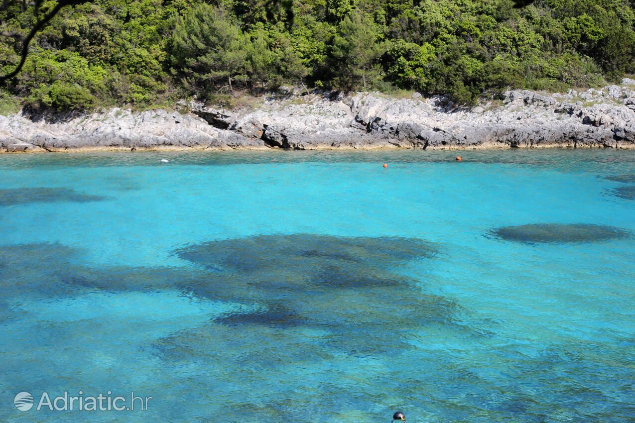 Rasohatica auf der Insel  Korčula (Južna Dalmacija)