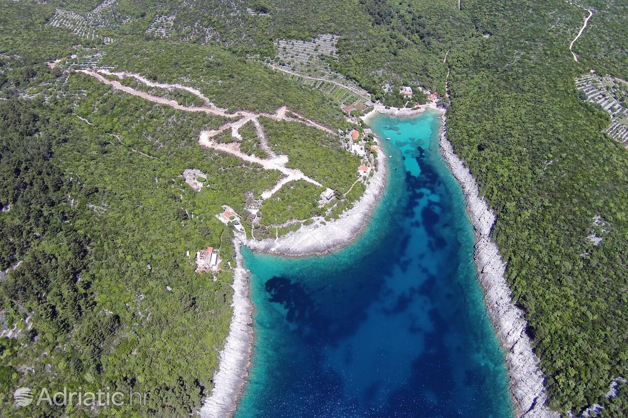 Rasohatica på otoku Korčula (Južna Dalmacija)