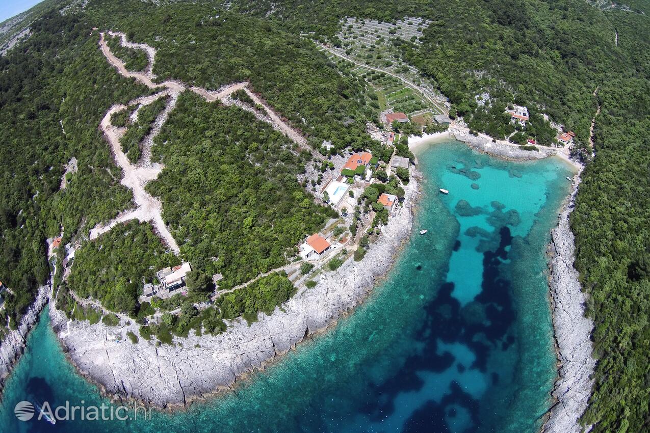 Rasohatica auf der Insel  Korčula (Južna Dalmacija)