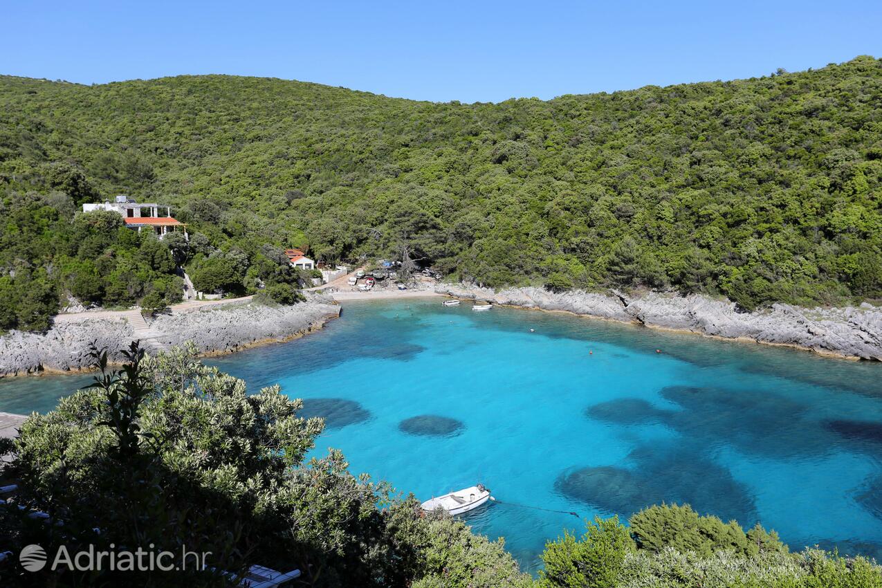 Rasohatica på otoku Korčula (Južna Dalmacija)