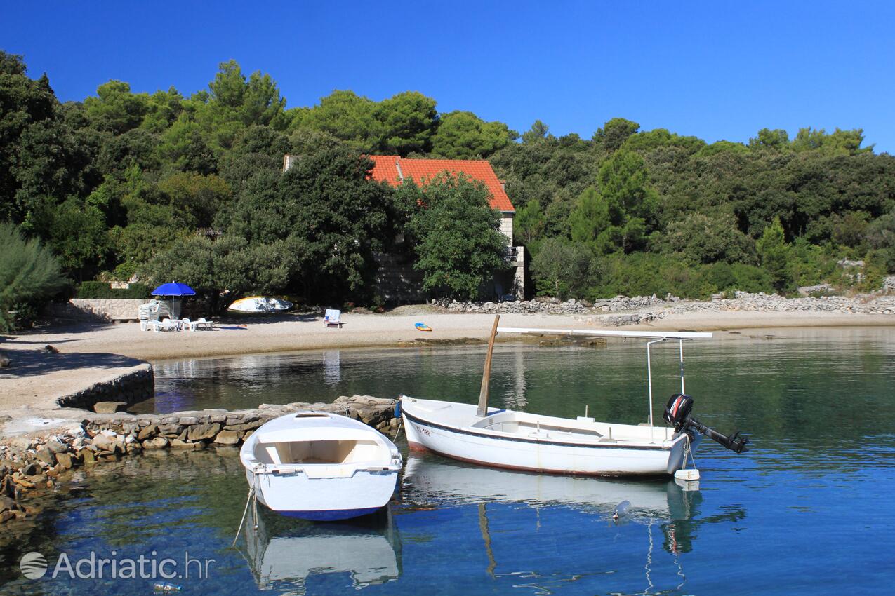 Vrbovica na ostrově Korčula (Južna Dalmacija)