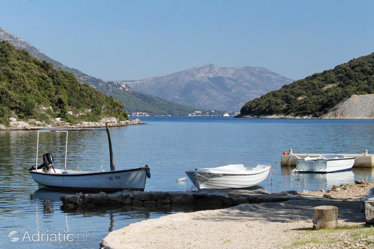 Vrbovica på otoku Korčula (Južna Dalmacija)