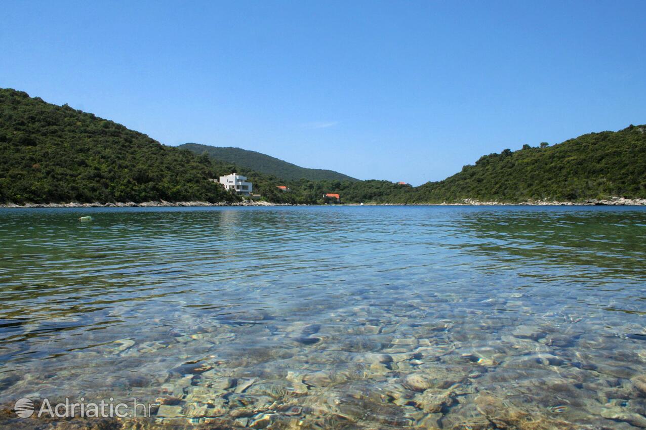 Vrbovica på otoku Korčula (Južna Dalmacija)