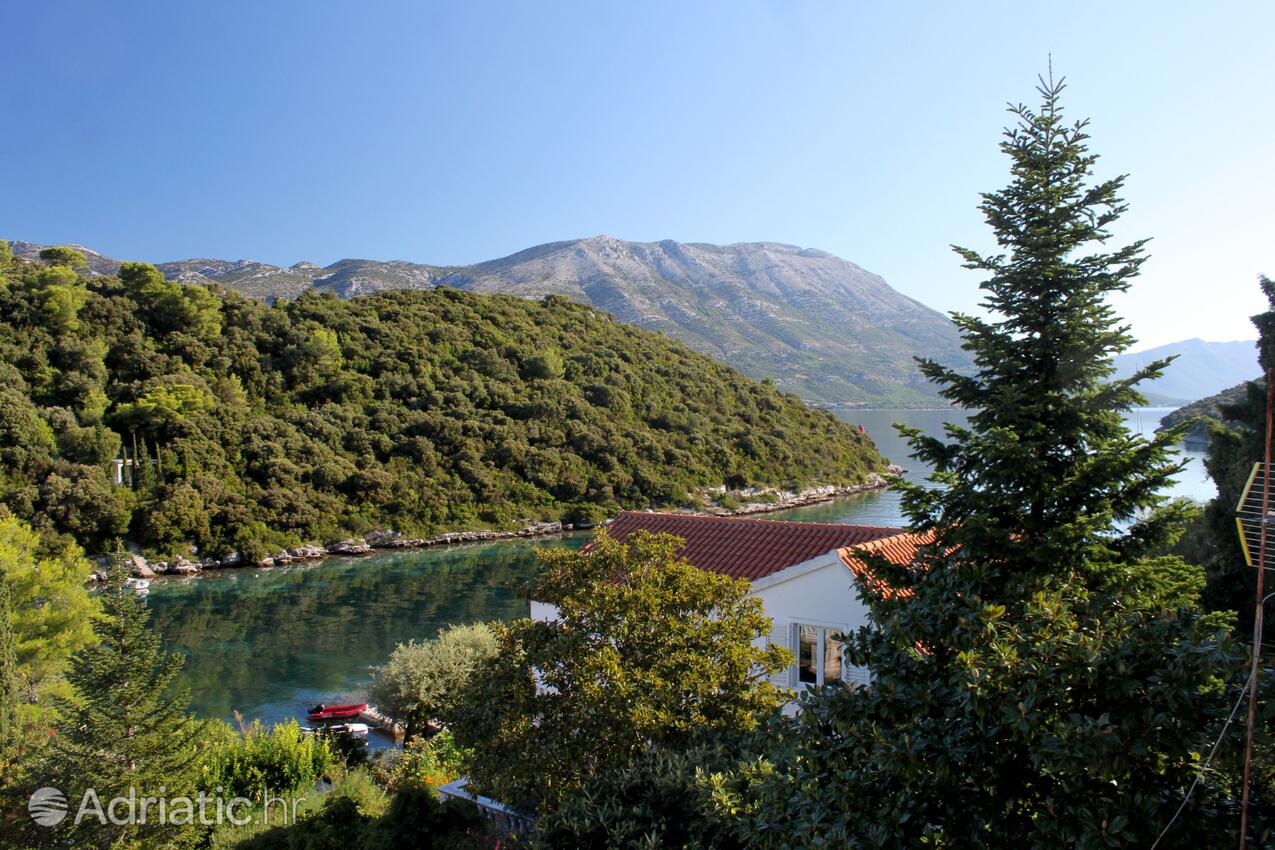 Vrbovica sull'isola Korčula (Južna Dalmacija)