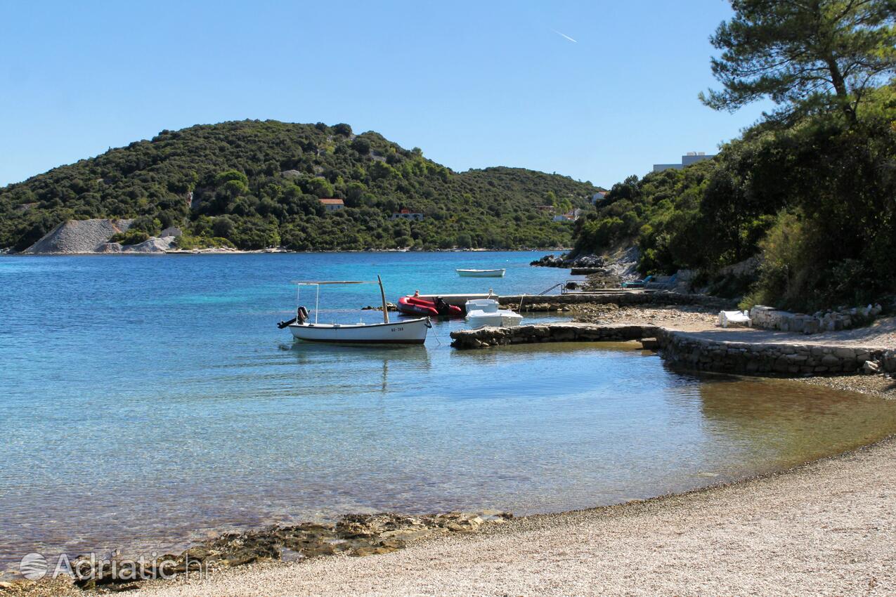 Vrbovica na ostrově Korčula (Južna Dalmacija)