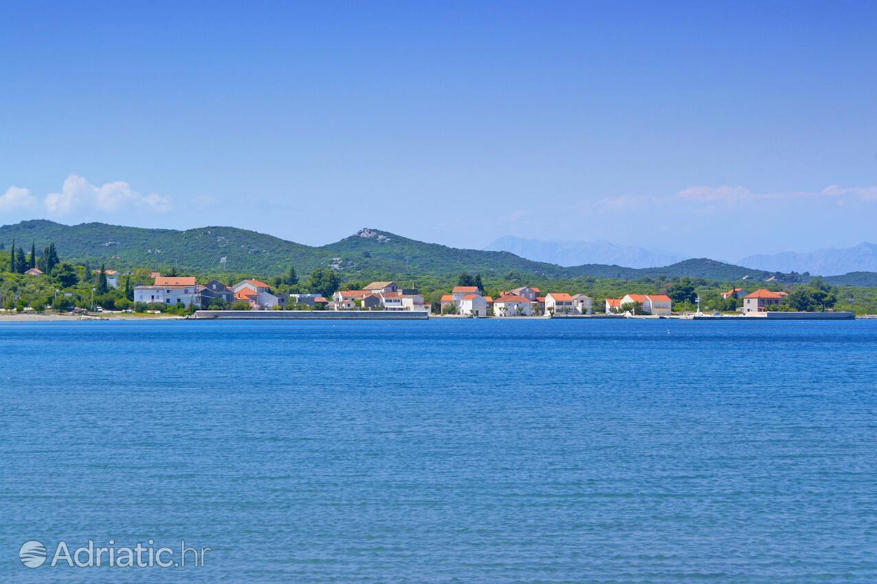 Drače in Pelješac riviera (Južna Dalmacija)