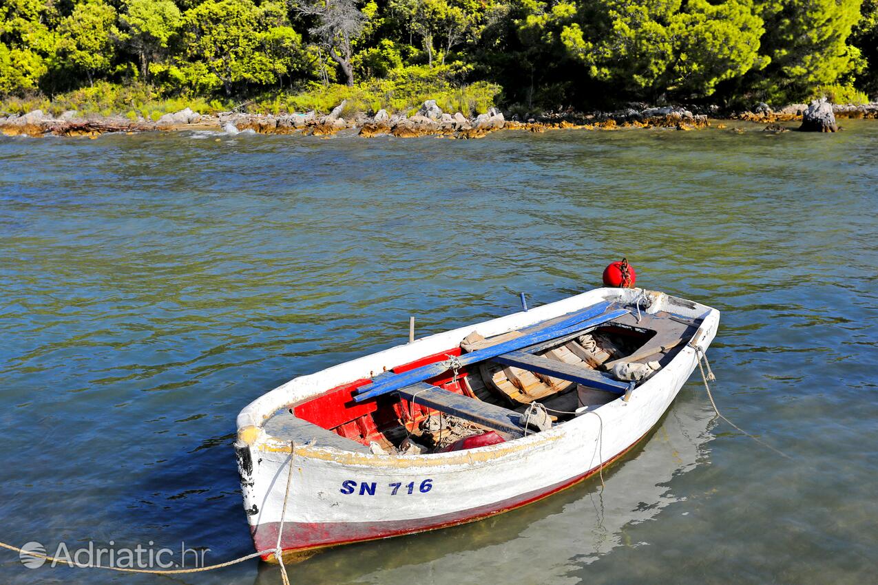 Drače in Pelješac riviera (Južna Dalmacija)