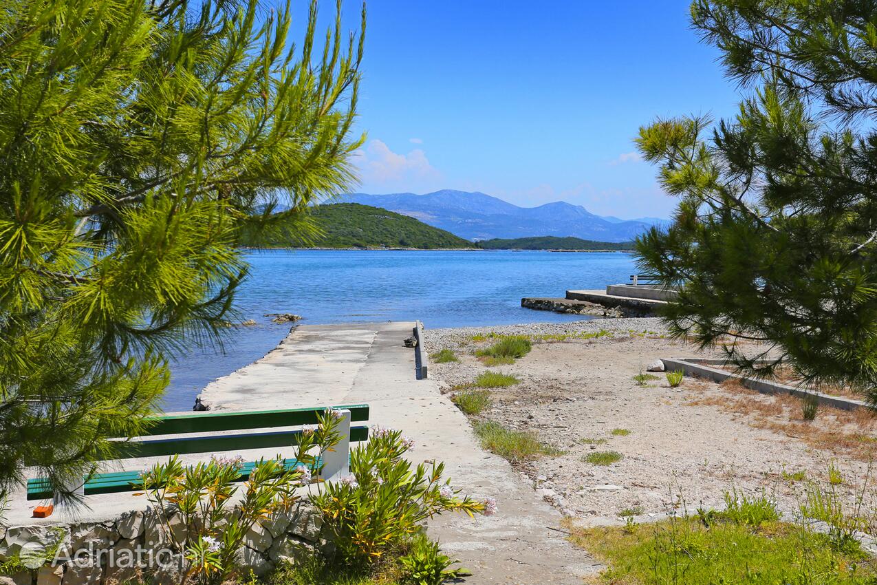 Drače in Pelješac riviera (Južna Dalmacija)