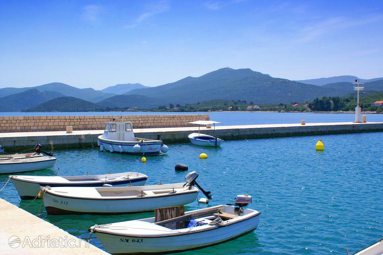 Drače in Pelješac riviera (Južna Dalmacija)