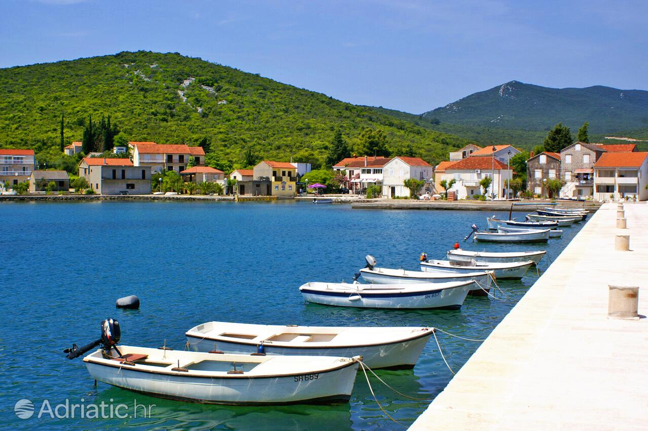 Drače in Pelješac riviera (Južna Dalmacija)