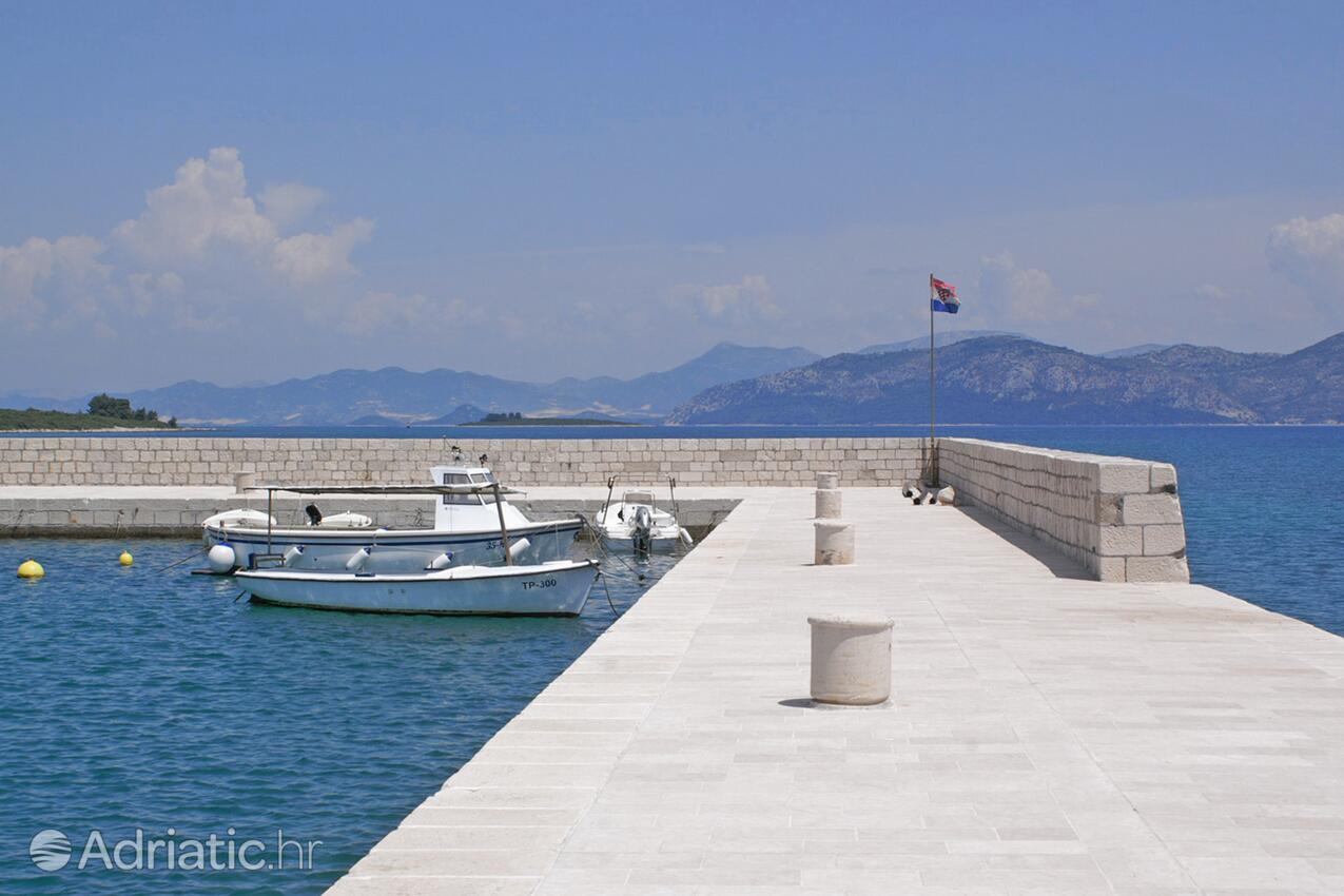 Drače in Pelješac riviera (Južna Dalmacija)