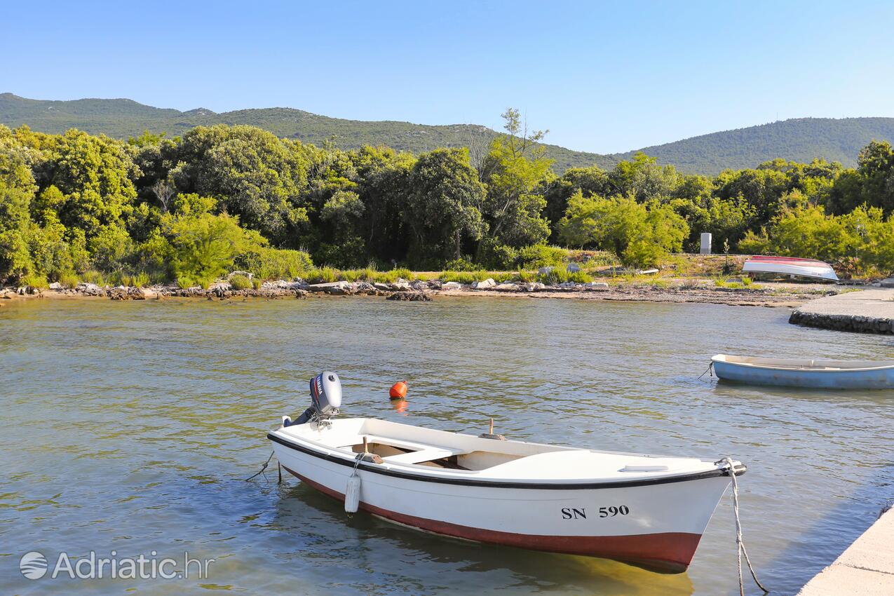 Drače in Pelješac riviera (Južna Dalmacija)