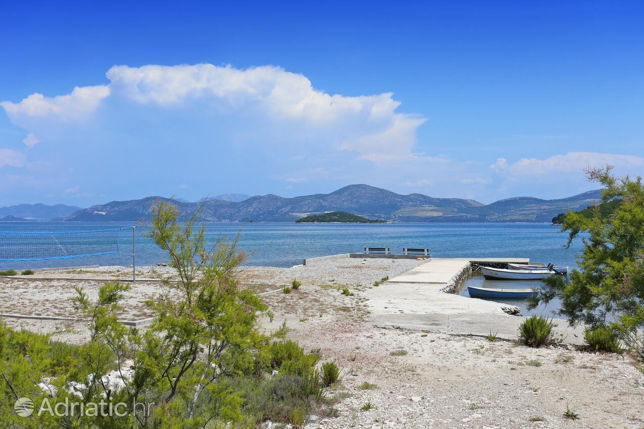 Drače in Pelješac riviera (Južna Dalmacija)