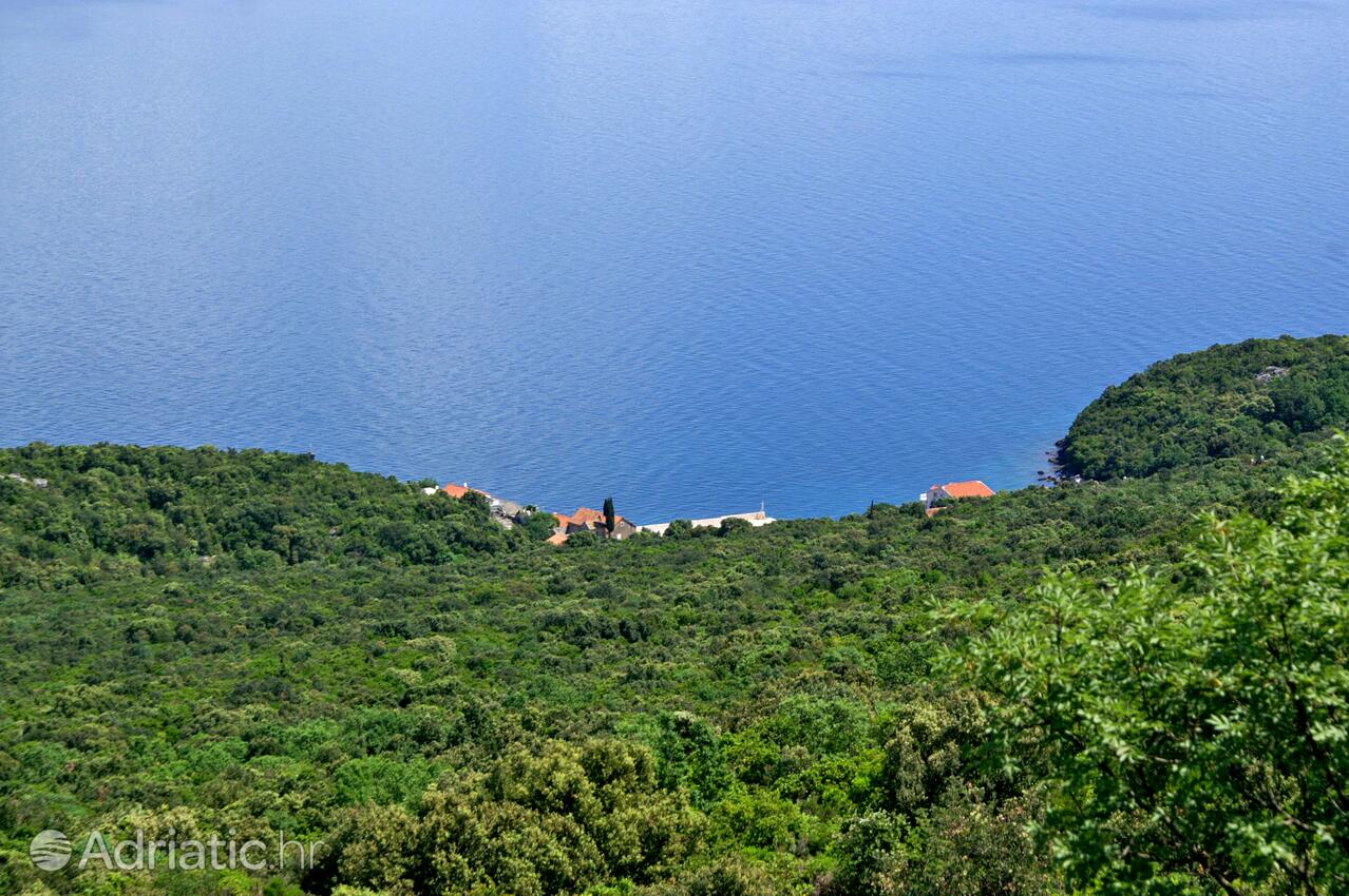 Crkvice dans la côte Pelješac (Južna Dalmacija)