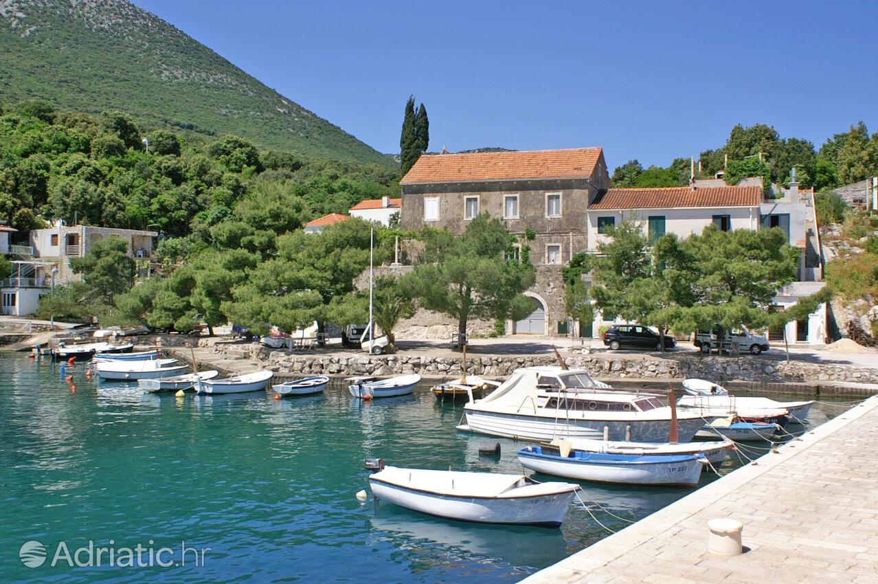 Crkvice dans la côte Pelješac (Južna Dalmacija)