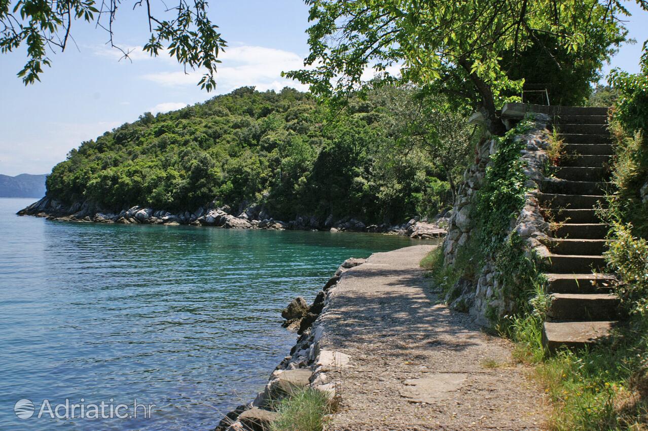 Crkvice dans la côte Pelješac (Južna Dalmacija)