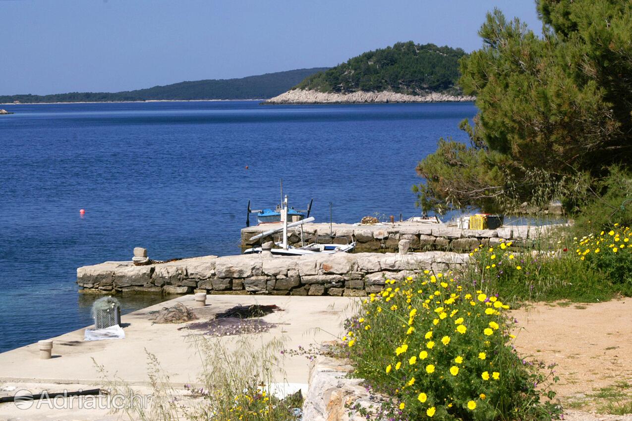 Karbuni på otoku Korčula (Južna Dalmacija)