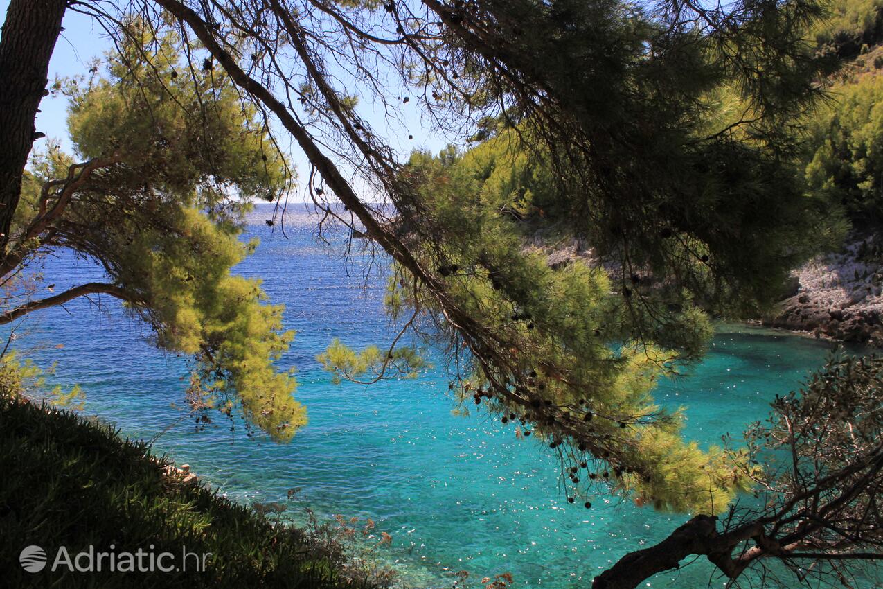 Bratinja Luka pe insula Korčula (Južna Dalmacija)