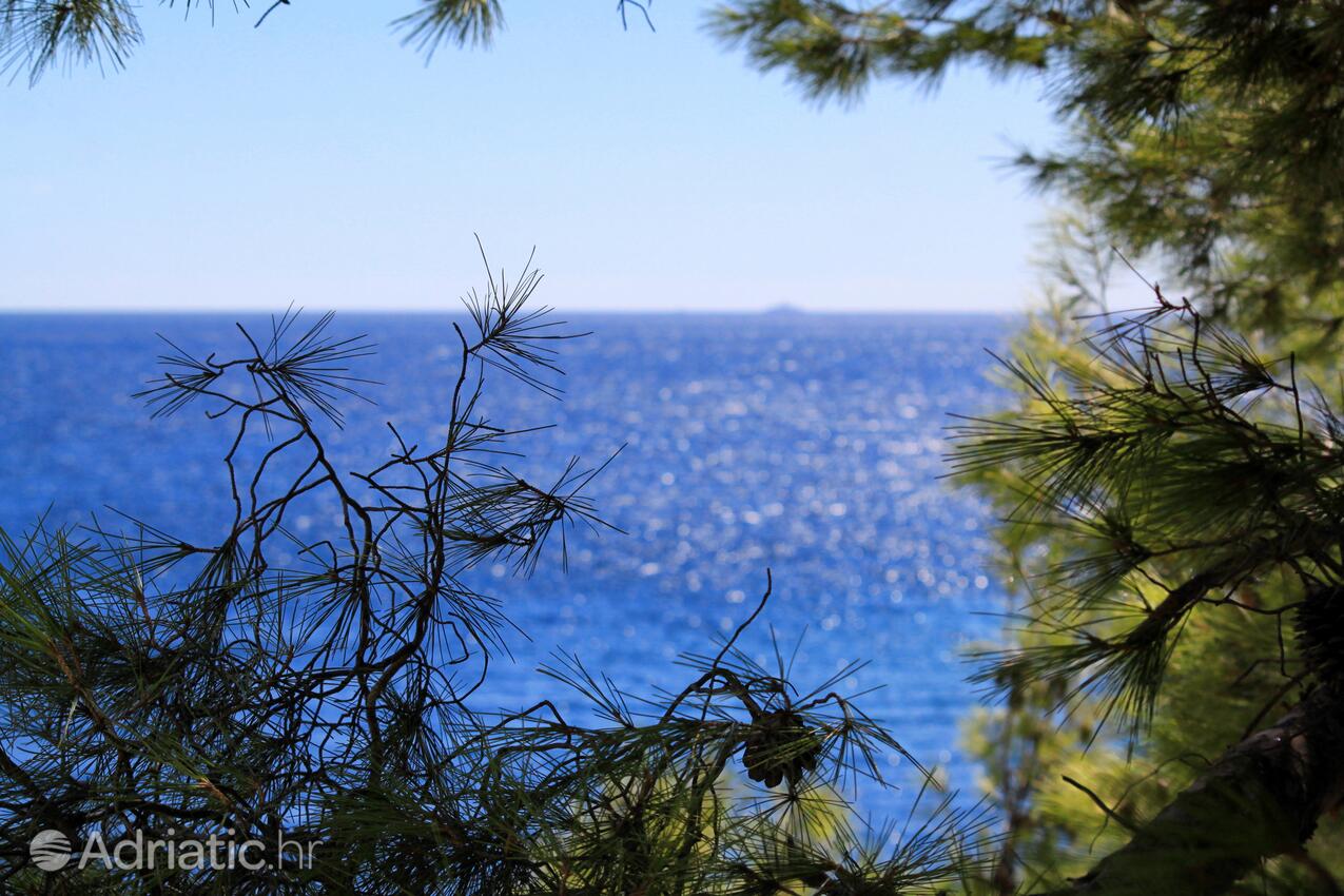 Bratinja Luka pe insula Korčula (Južna Dalmacija)