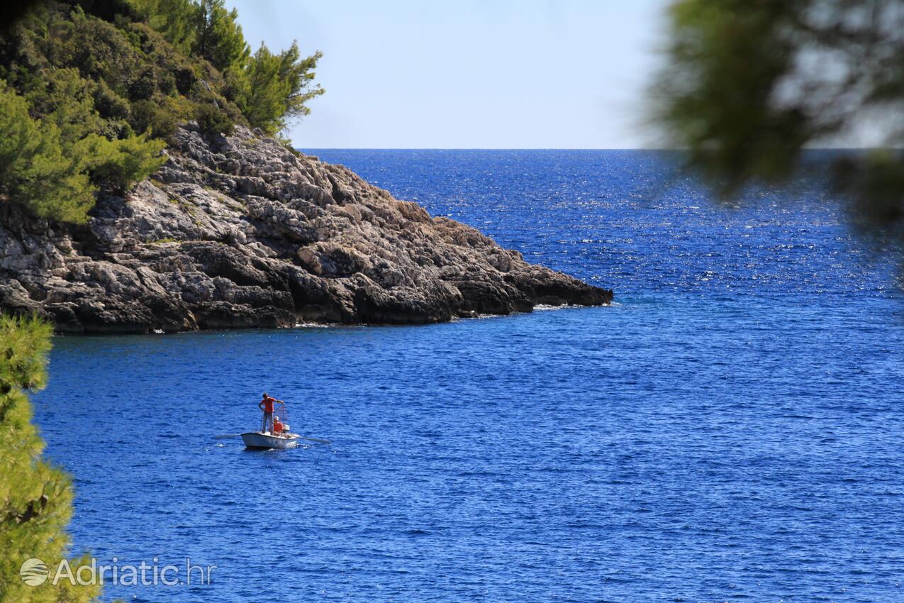 Bratinja Luka pe insula Korčula (Južna Dalmacija)