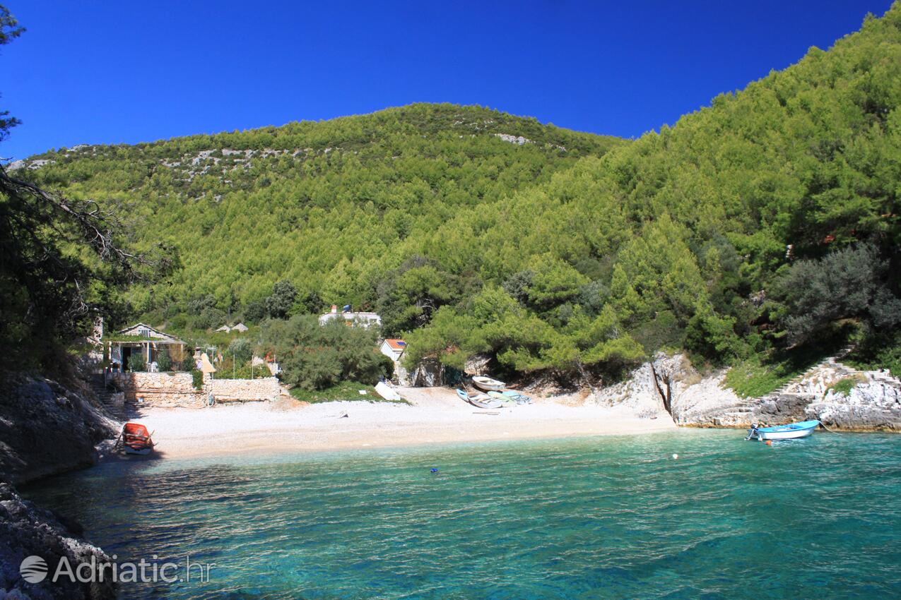 Bratinja Luka pe insula Korčula (Južna Dalmacija)