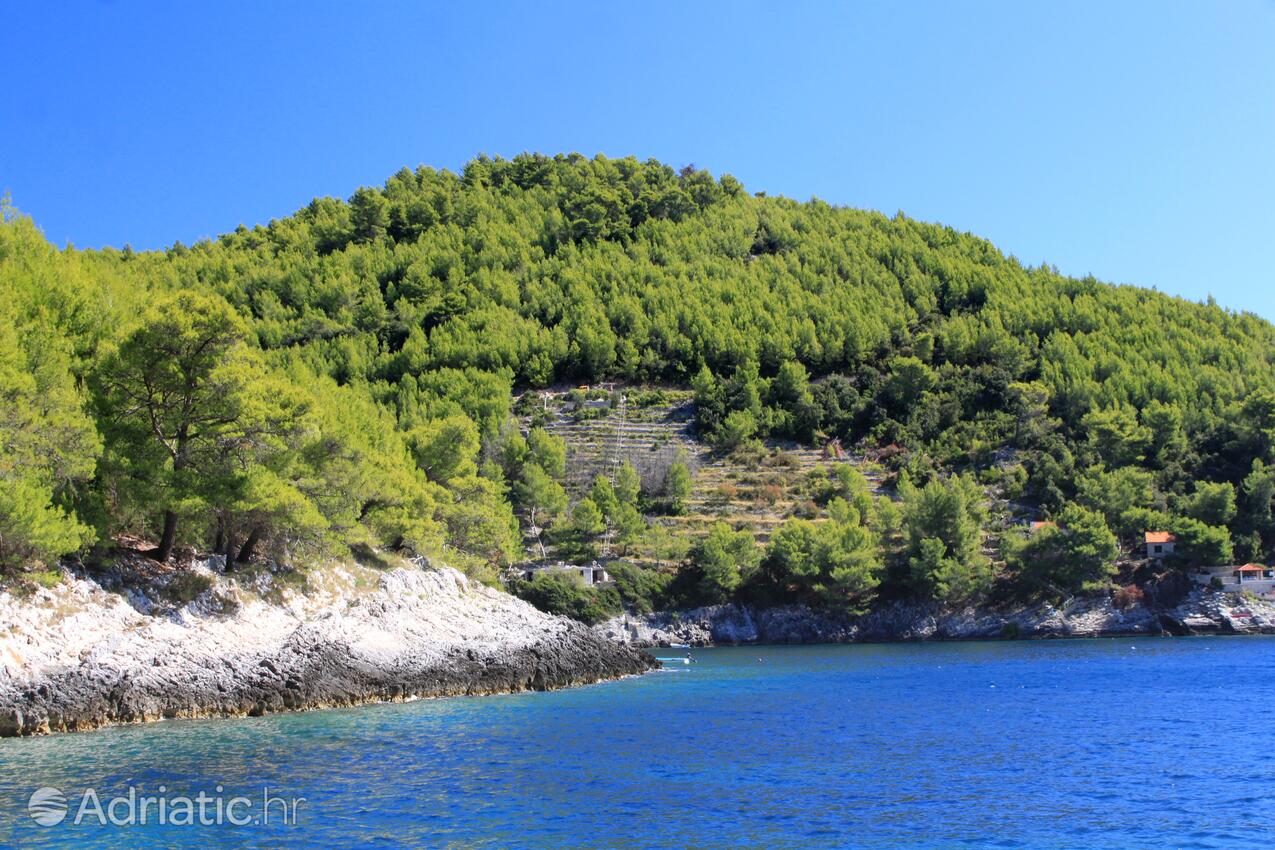 Bratinja Luka pe insula Korčula (Južna Dalmacija)