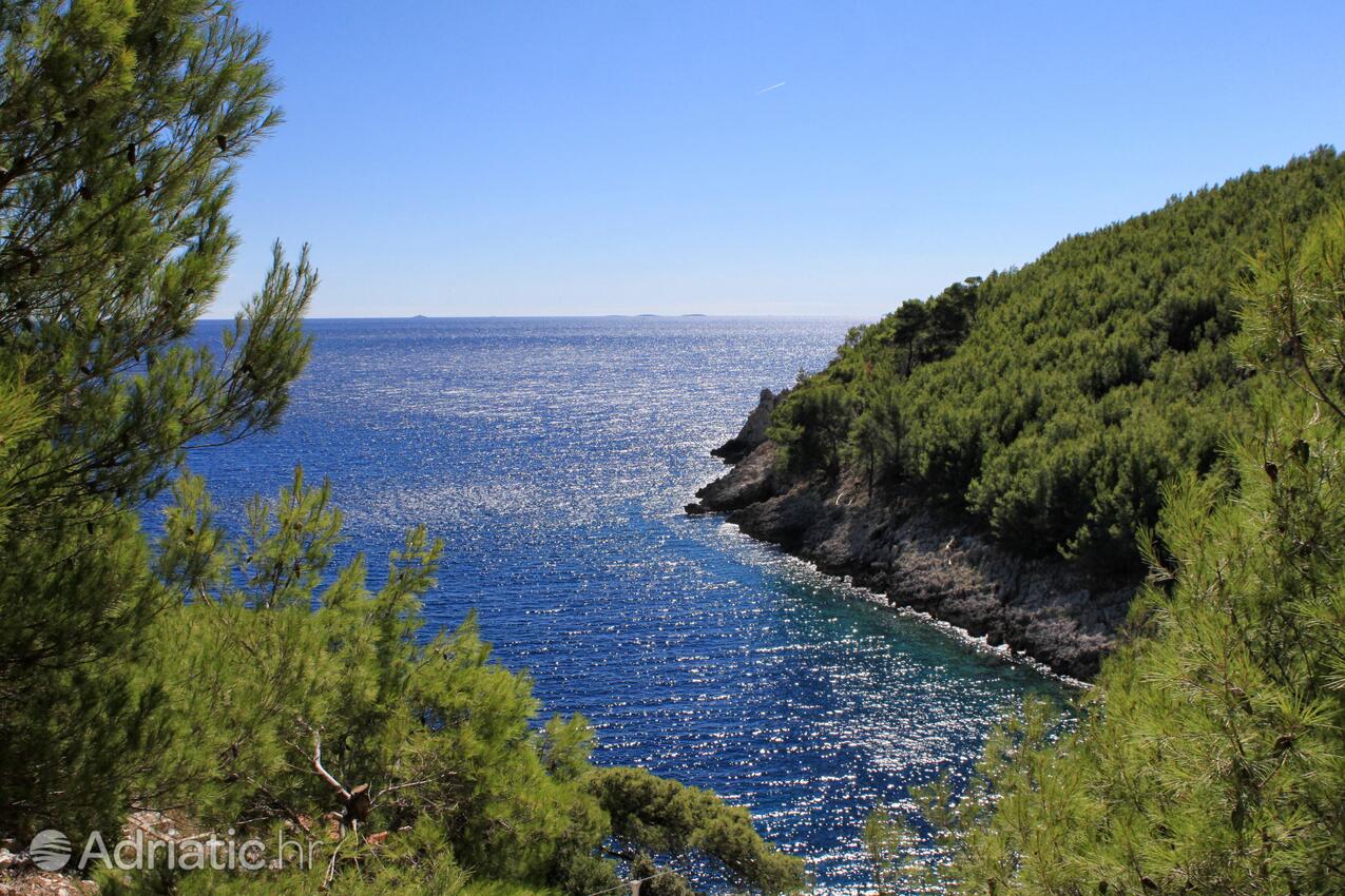 Bratinja Luka pe insula Korčula (Južna Dalmacija)