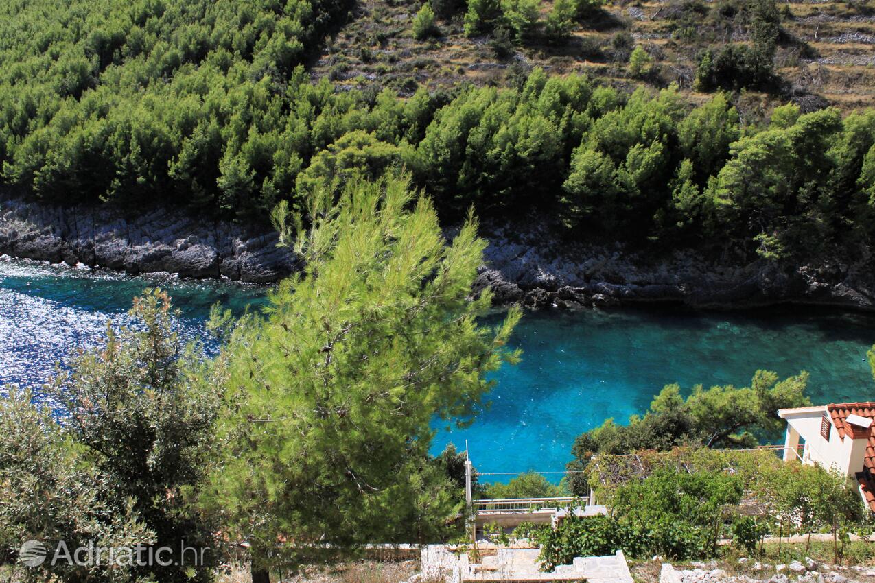 Bratinja Luka pe insula Korčula (Južna Dalmacija)