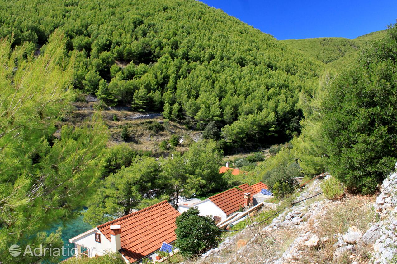 Bratinja Luka pe insula Korčula (Južna Dalmacija)