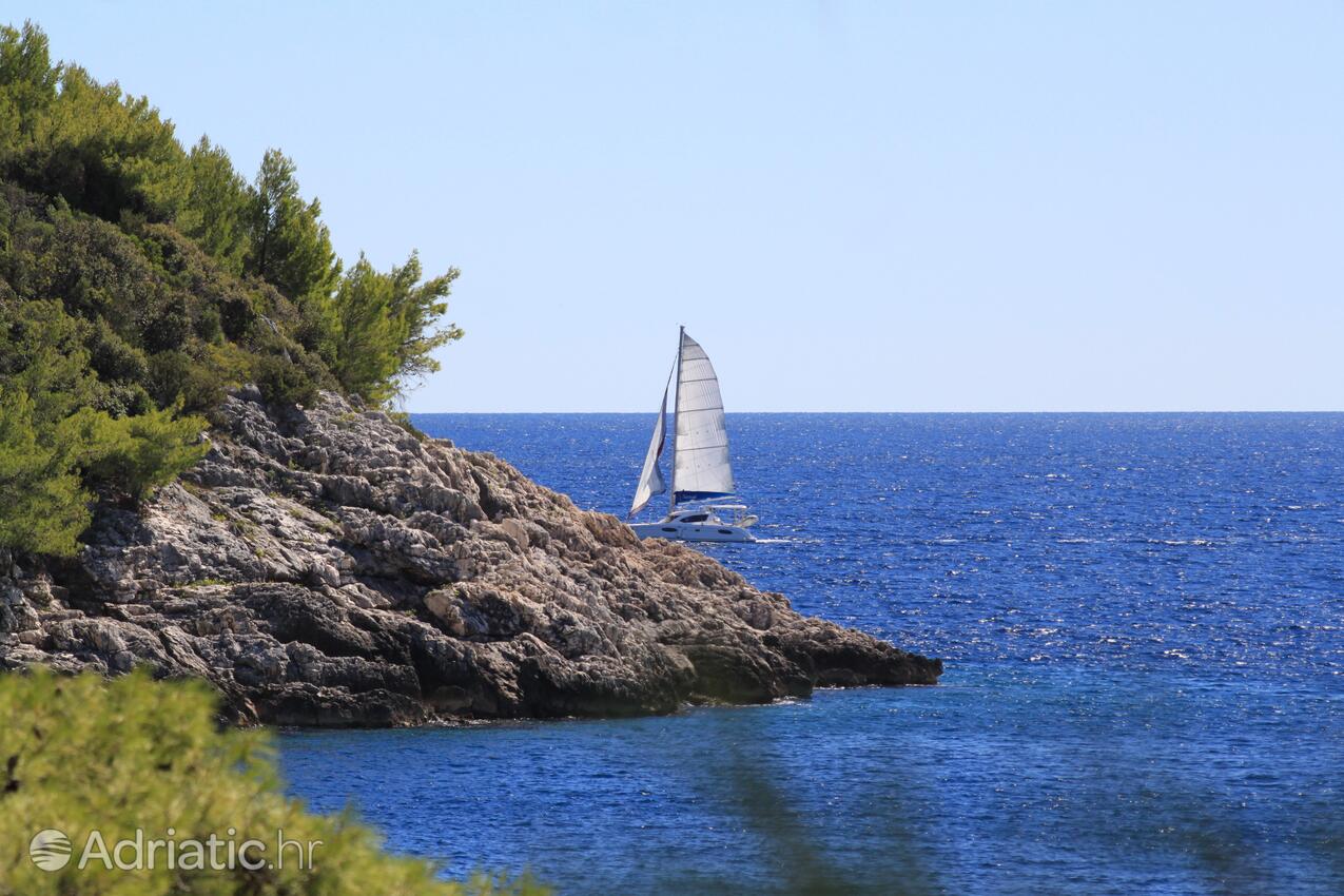 Bratinja Luka pe insula Korčula (Južna Dalmacija)