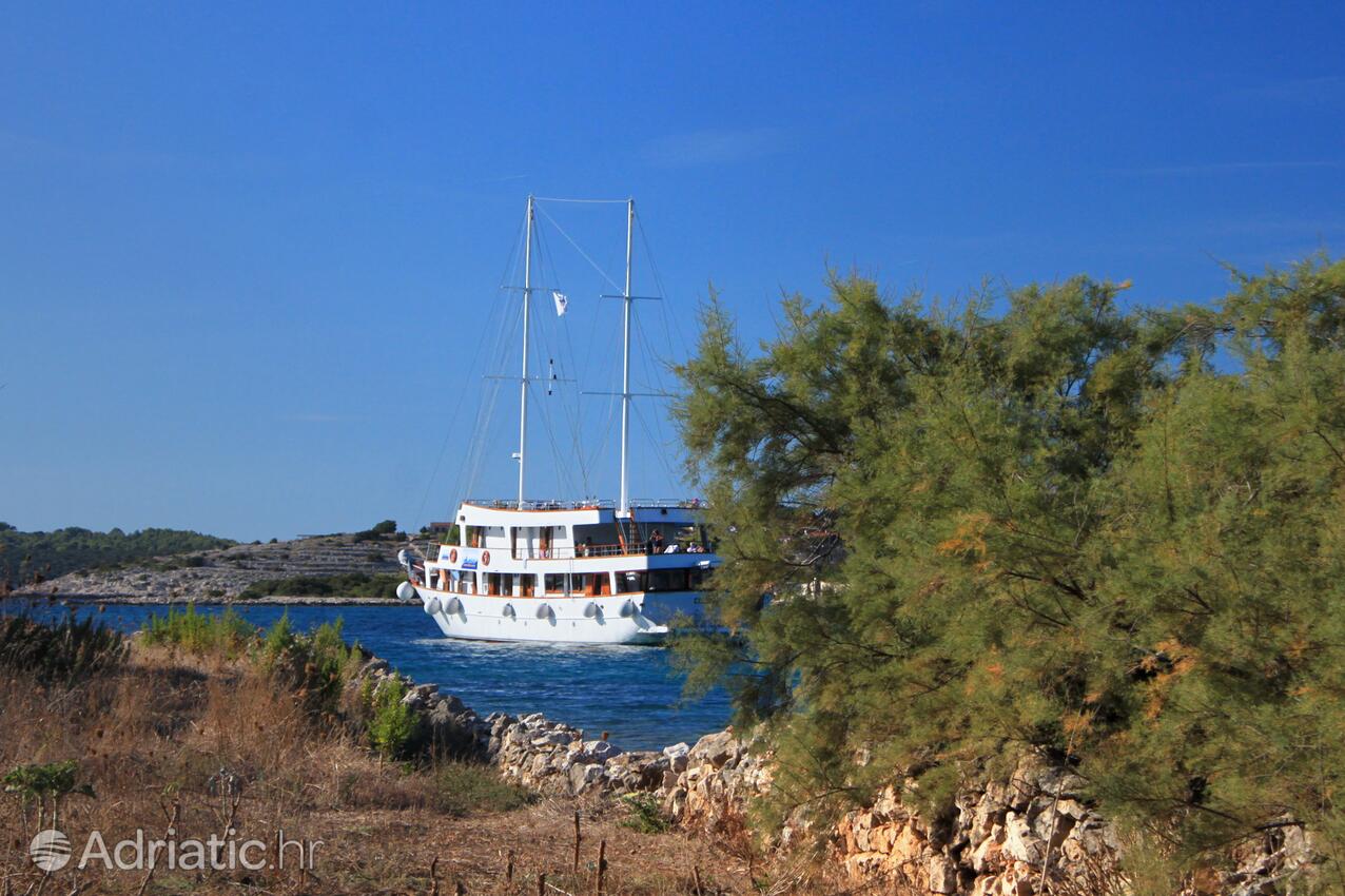 Gradina på otoku Korčula (Južna Dalmacija)