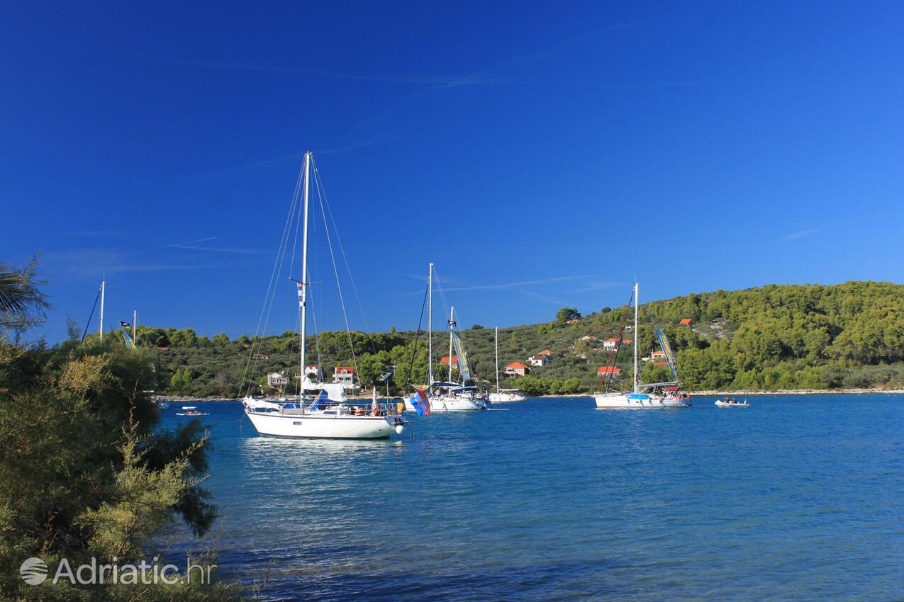 Gradina på otoku Korčula (Južna Dalmacija)