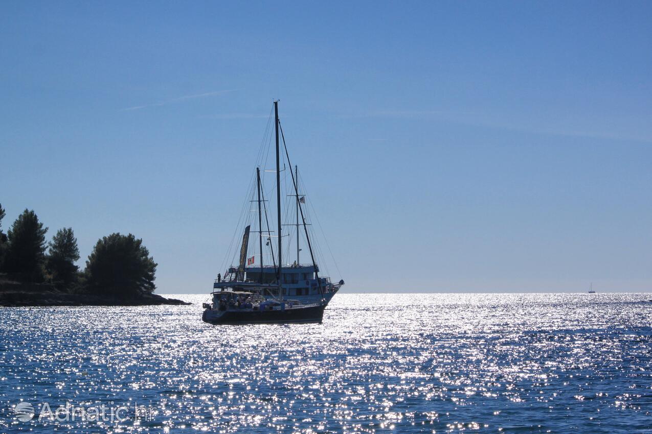 Gradina на острове Korčula (Južna Dalmacija)