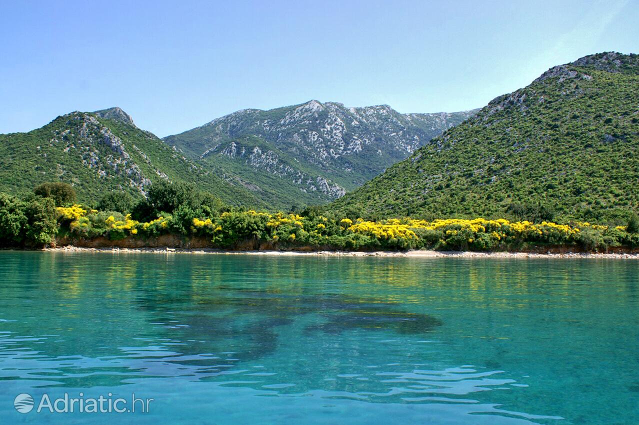 Duba Pelješka pe riviera Pelješac (Južna Dalmacija)