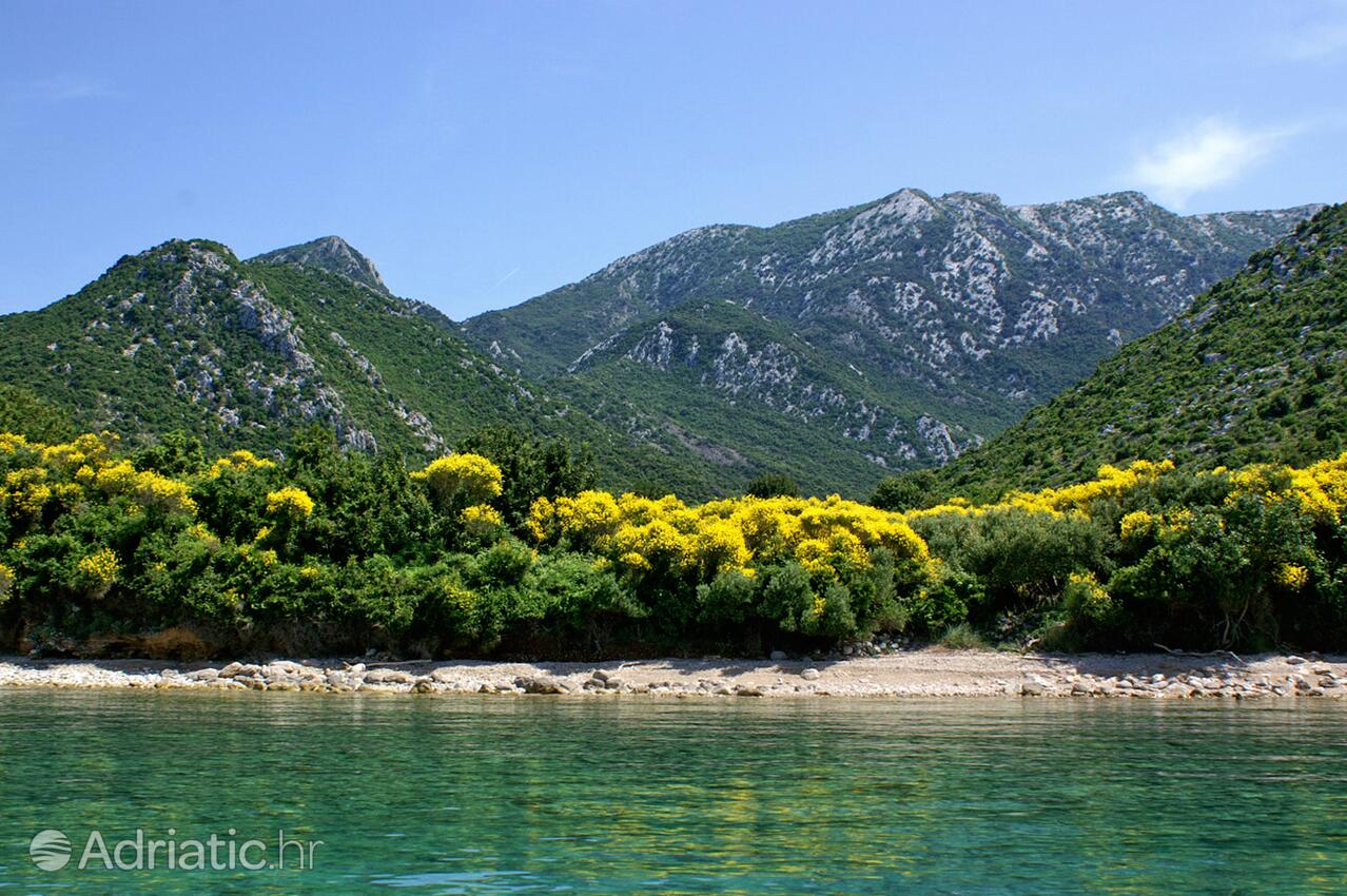 Duba Pelješka pe riviera Pelješac (Južna Dalmacija)